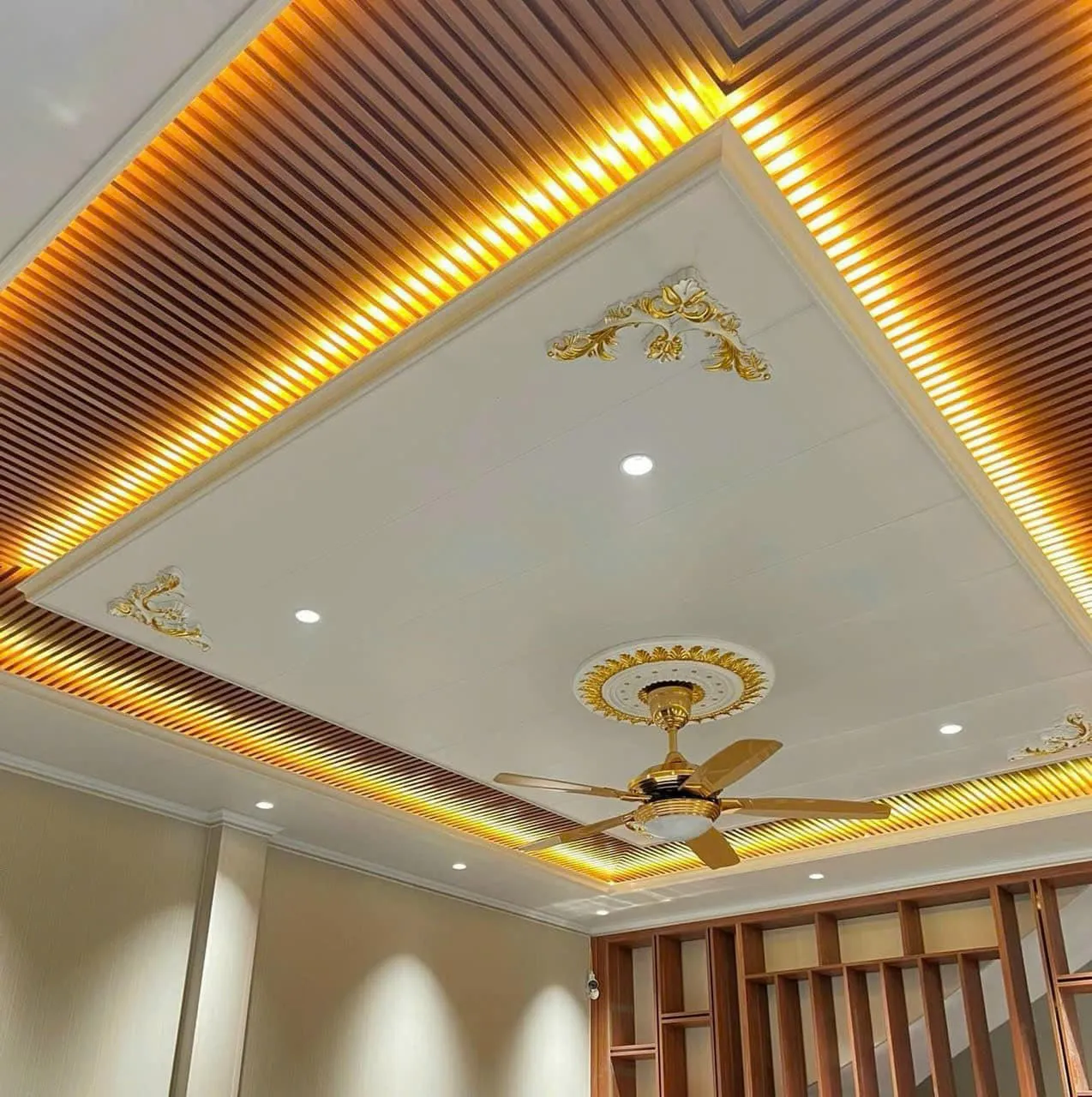 Trần nano nhà ở